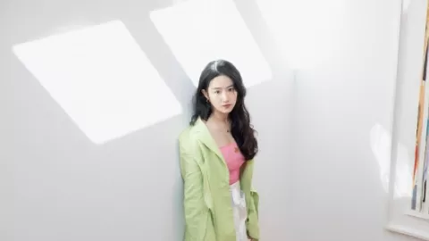 列车上铺跌落砸伤事件