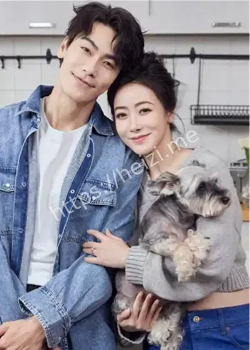 陈紫函戴向宇离婚危机