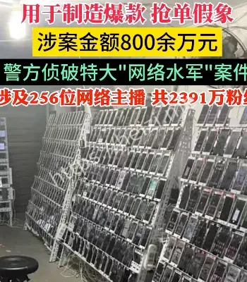 网络水军案侦破