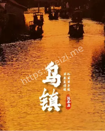 2025乌镇世界互联网大会